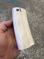 Walrus tusk
