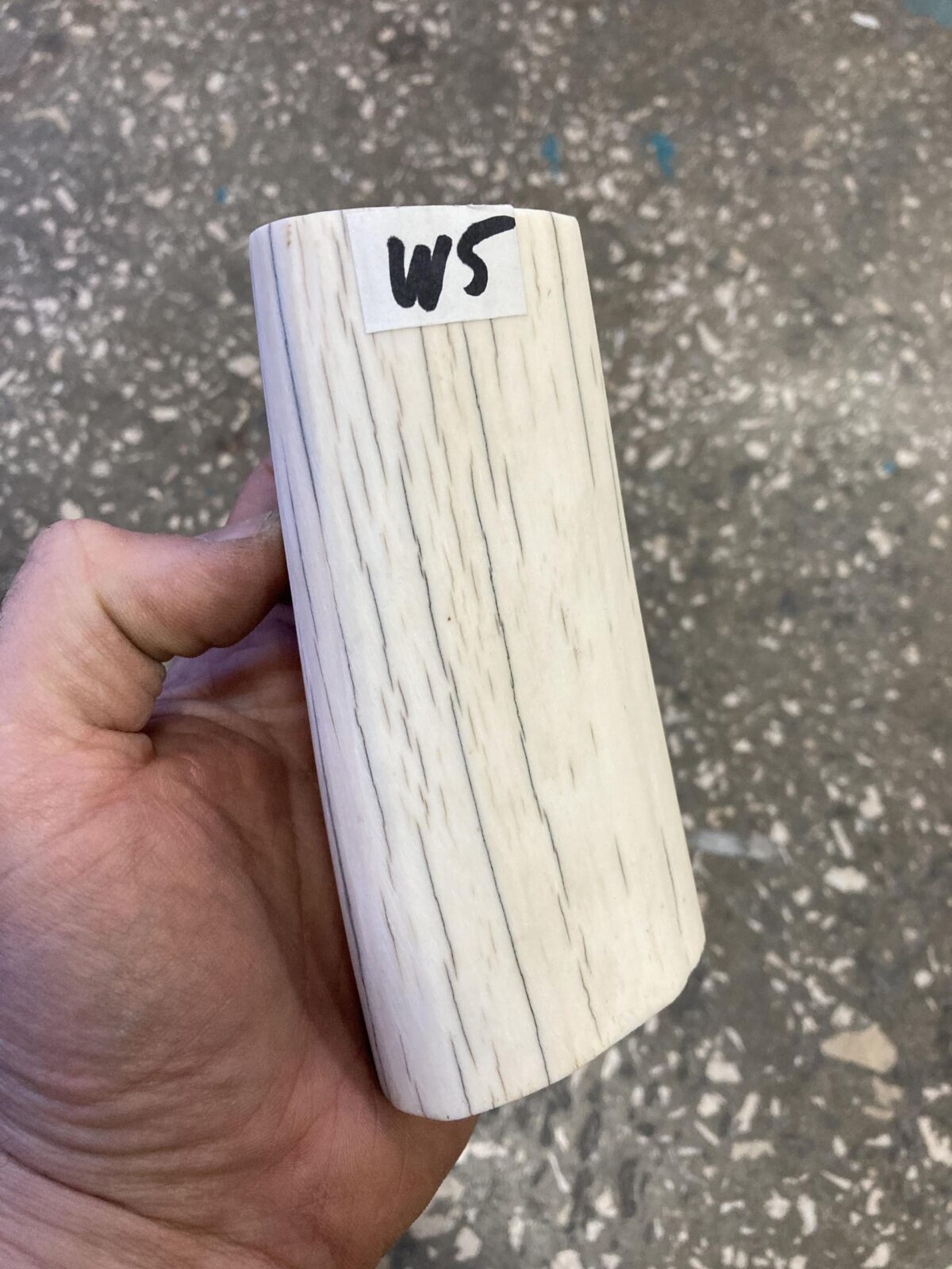 walrus tusk