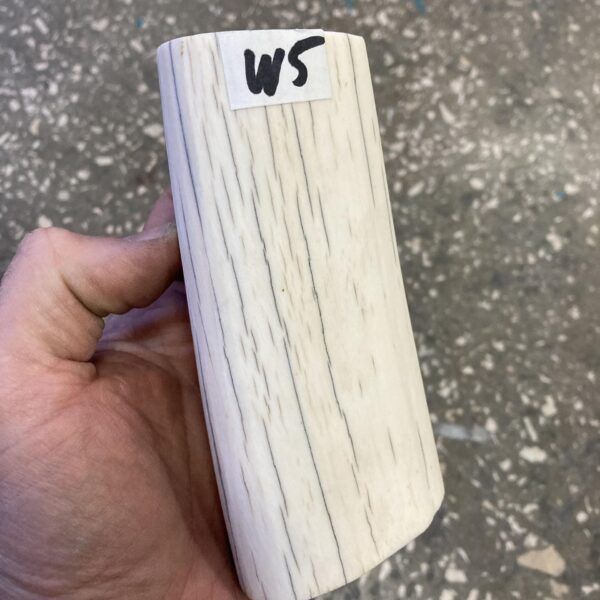 walrus tusk