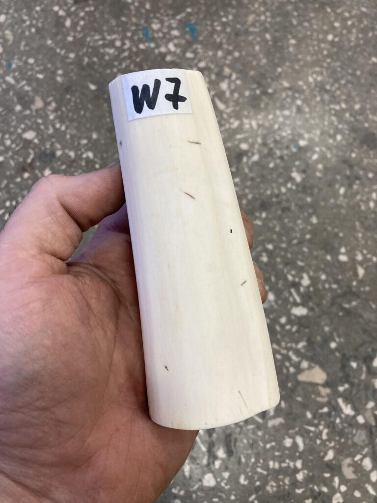 walrus tusk