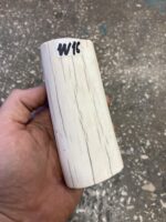 walrus tusk