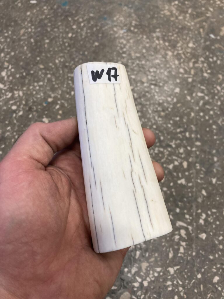 walrus tusk