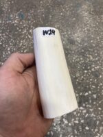 walrus tusk