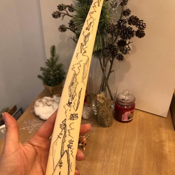 walrus tusk