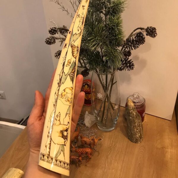 walrus tusk