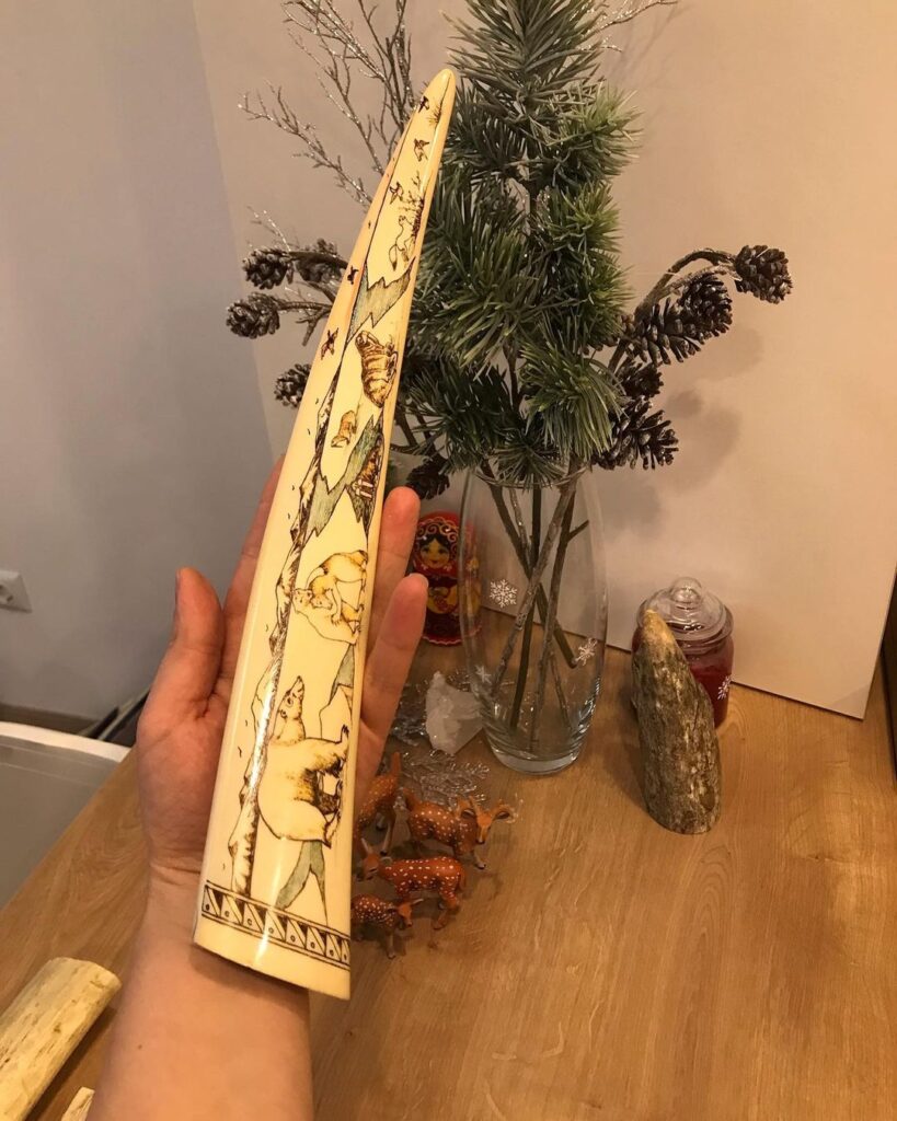 walrus tusk