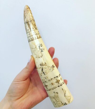 walrus tusk