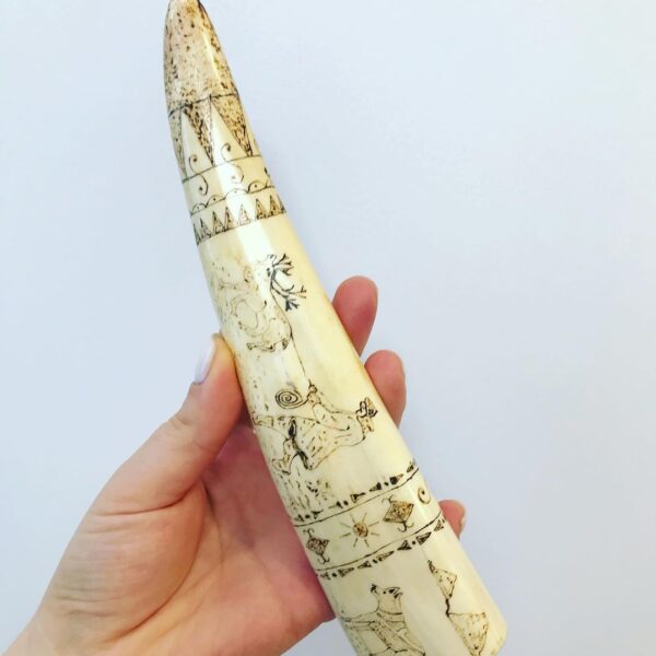 walrus tusk