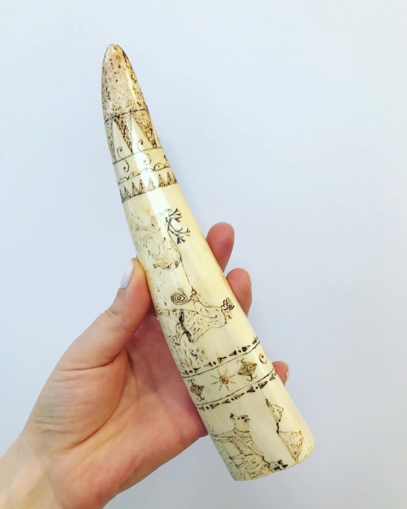 walrus tusk
