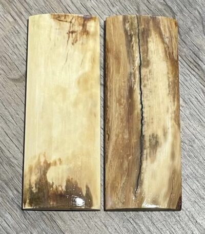 Mammoth tusk scales