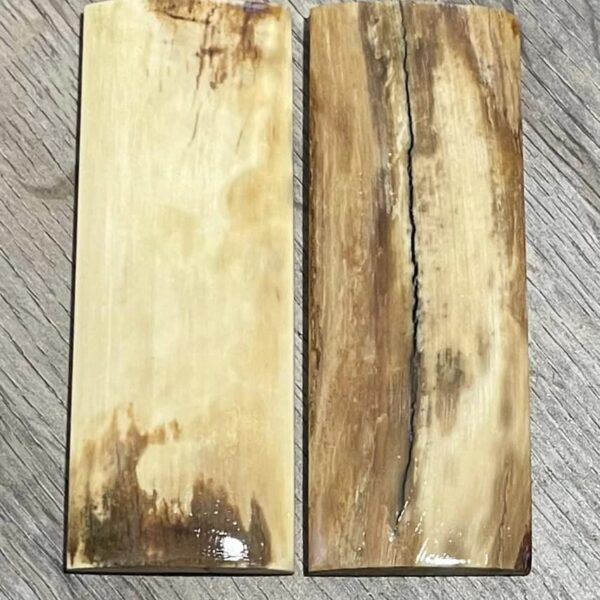 Mammoth tusk scales