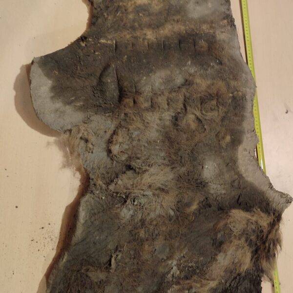 Mammoth Skin