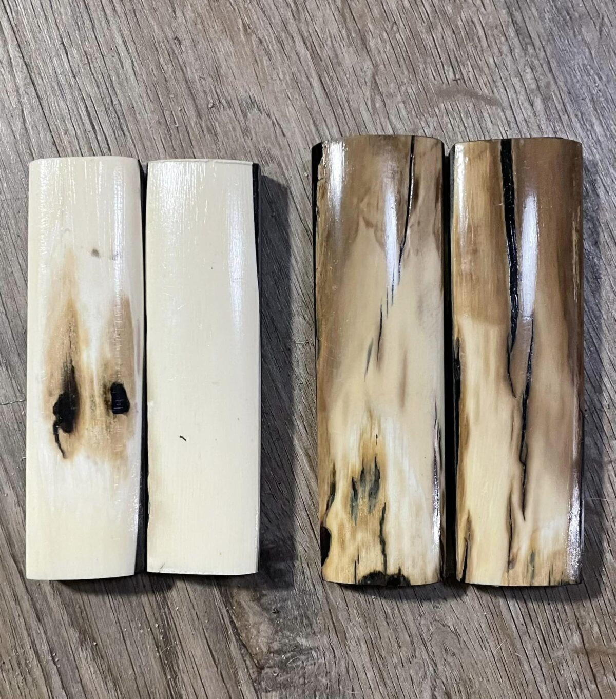 Mammoth tusk scales