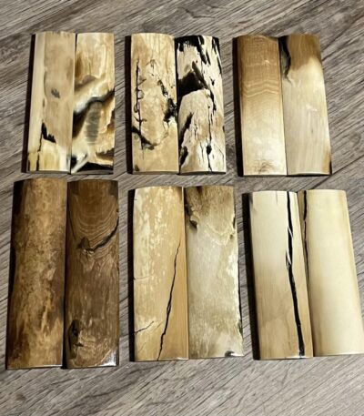 mammoth tusk barks