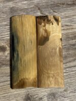 mammoth tusk scale