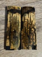 mammoth tusk bark