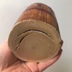 Mammoth ivory