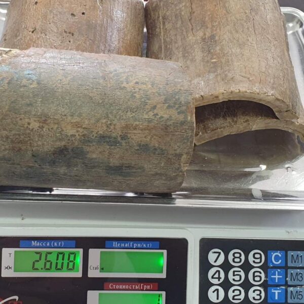 Mammoth tusk barks