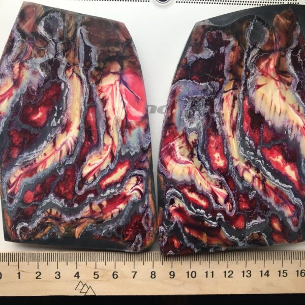 Stabilized mammoth molar slabs