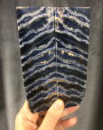 Stabilized Mammoth Molar slabs
