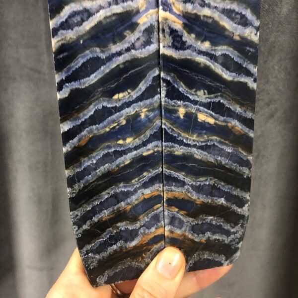 Stabilized Mammoth Molar slabs