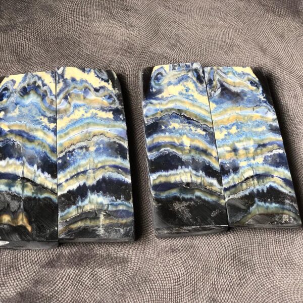 Stabilized Mammoth Molar