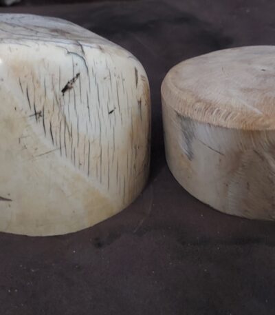 Elephant tusk pieces