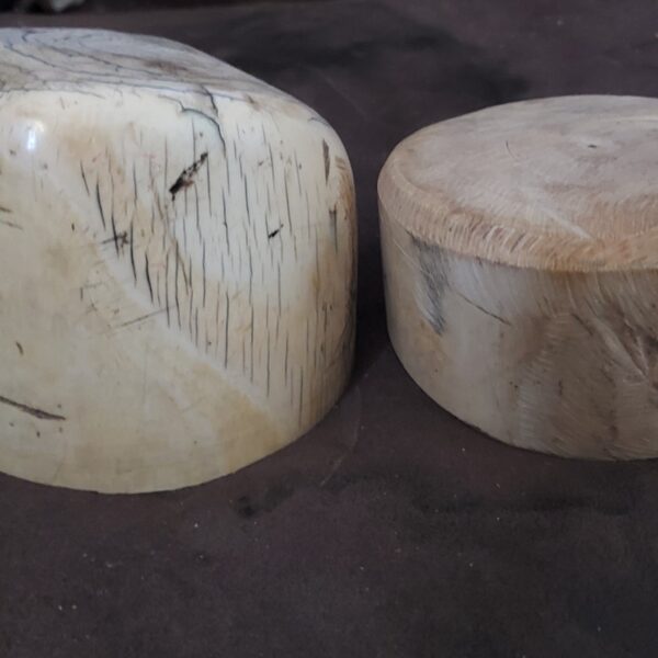 Elephant tusk pieces
