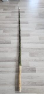 Narwhal tusk