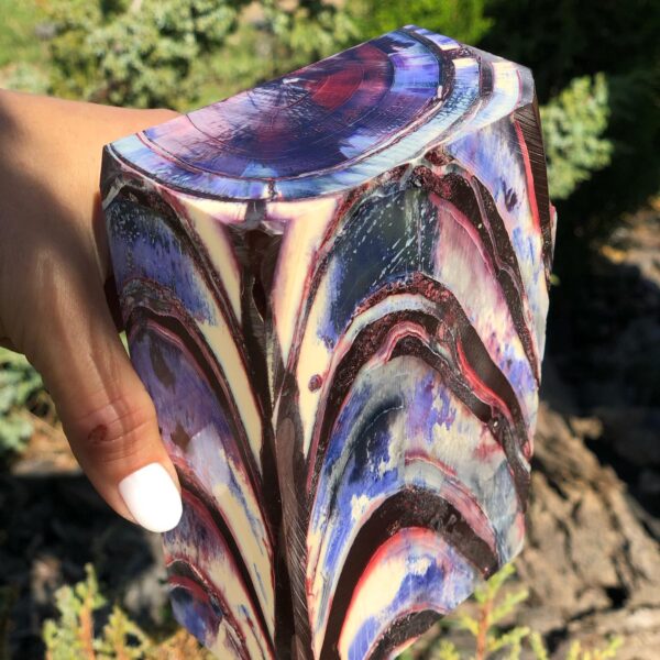 Stabilized  multicolored Mammoth tusk