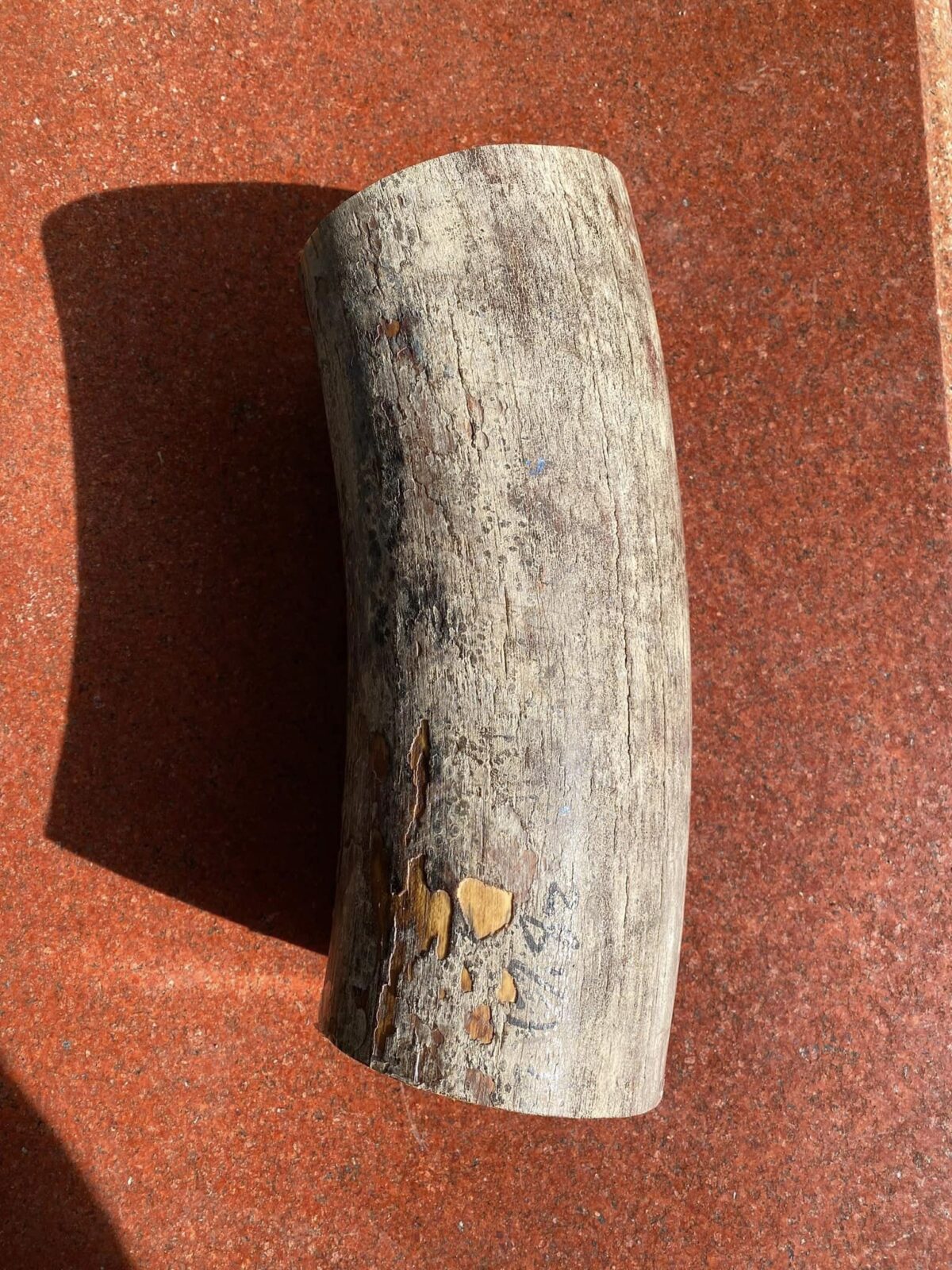 Mammoth ivory