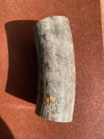 Mammoth ivory