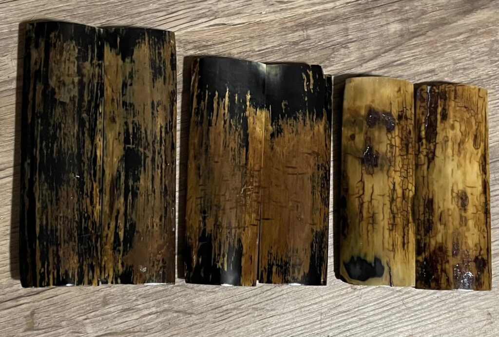 mammoth tusk Bark