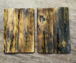 mammoth tusk bark