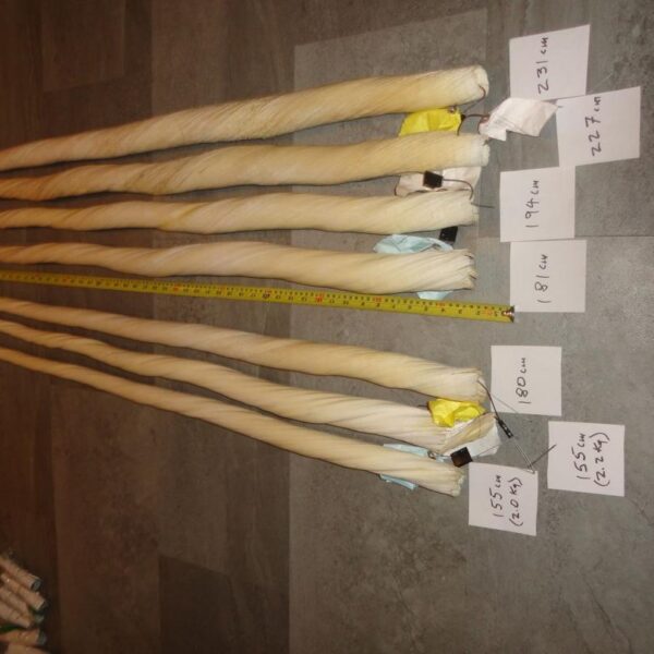Narwhal tusks