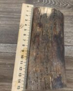 mammoth ivory