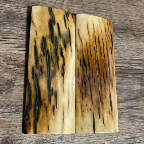 Mammoth tusk bark