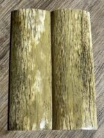 Giraffe bone scale