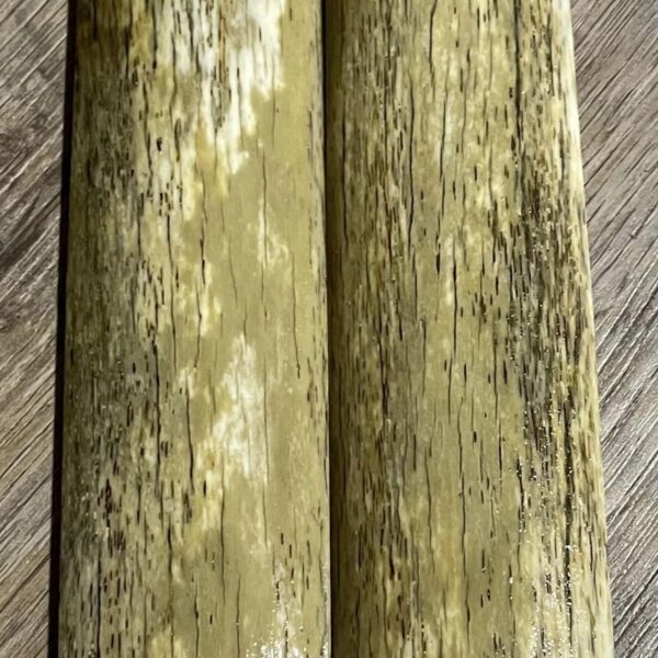 Giraffe bone scale