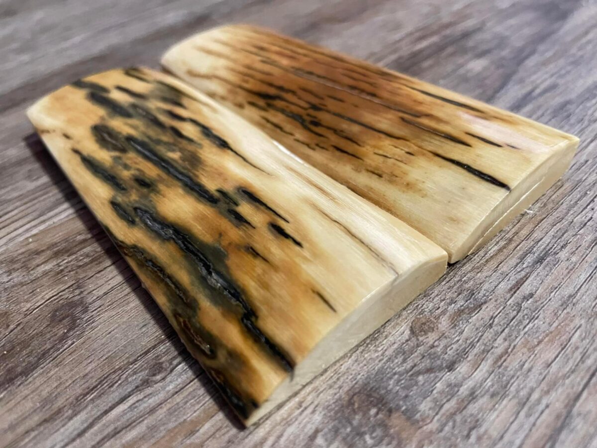 Mammoth tusk bark