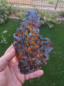 pallasite meteorite