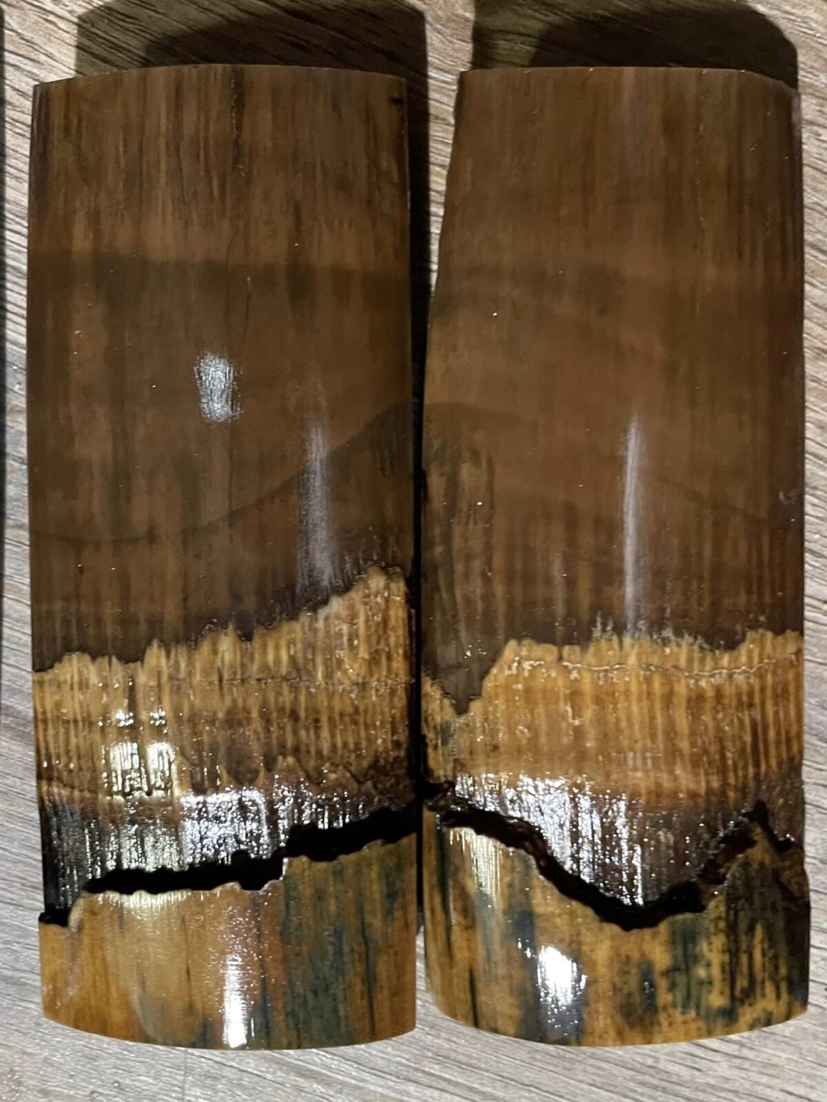 mammoth tusk barks