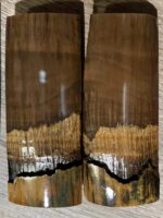 mammoth tusk barks