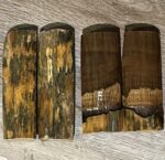 mammoth tusk barks