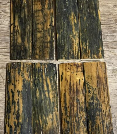 Stabilized mammoth tusk barks