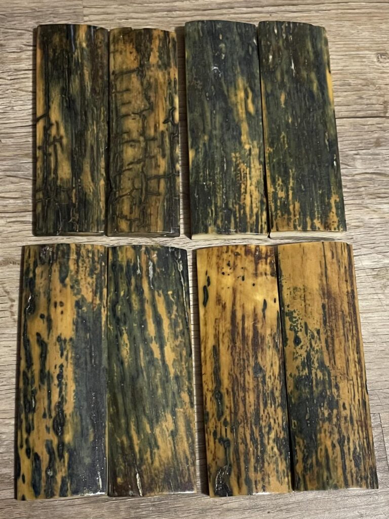 Stabilized mammoth tusk barks