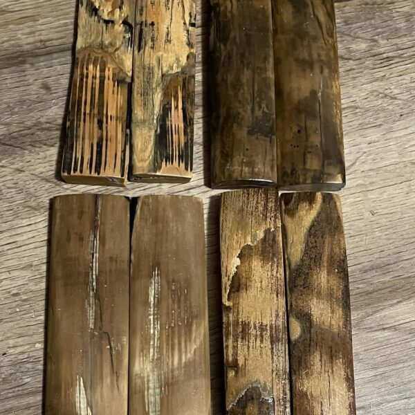 mammoth tusk barks