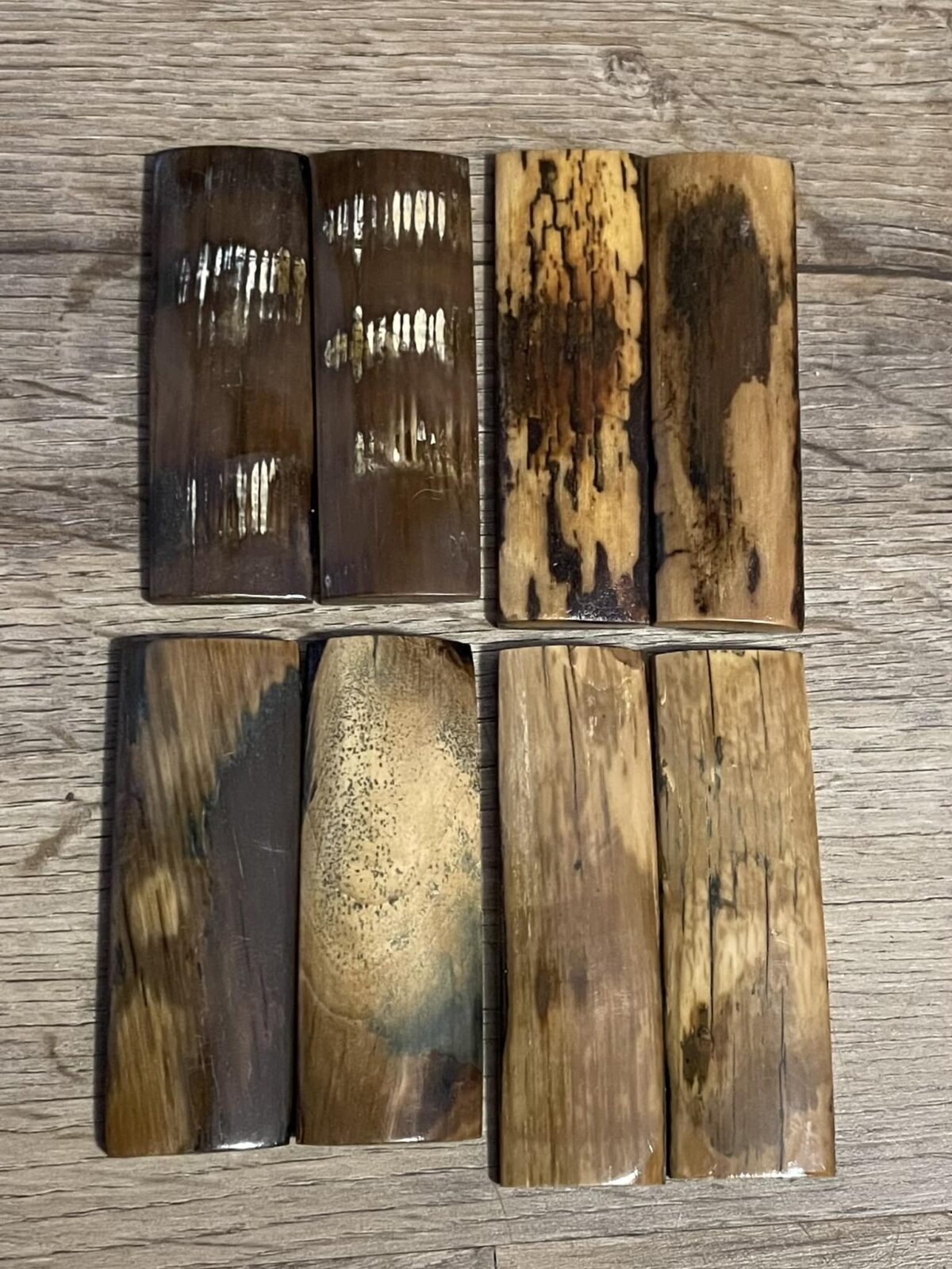 mammoth tusk barks