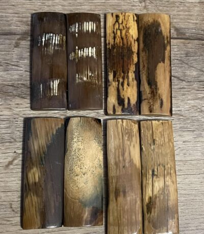 mammoth tusk barks