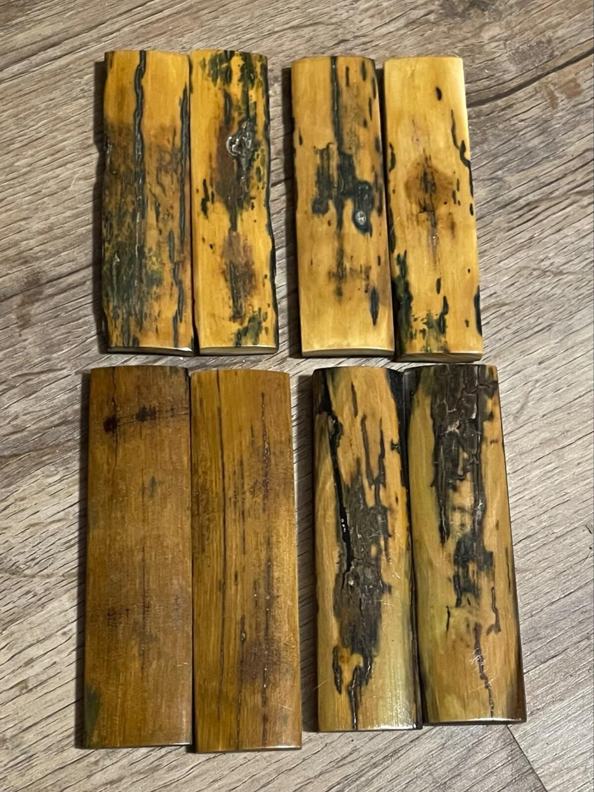 Stabilized mammoth tusk barks